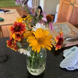 Meet your Posher, Elisabet